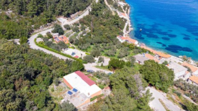 Secluded fisherman's cottage Cove Babina, Korcula - 16193